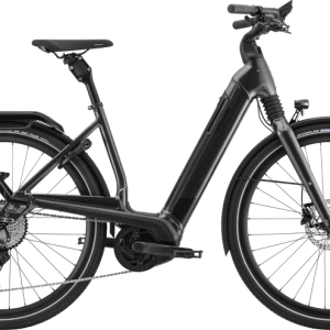 Cannondale Mavaro Neo 2