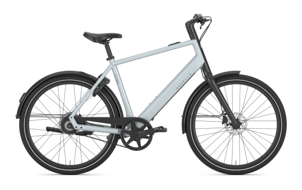 Gazelle Curb C1